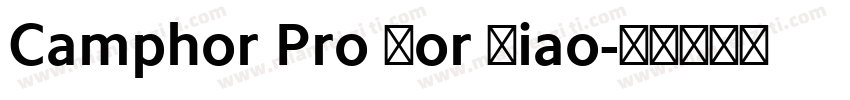 Camphor Pro For Xiao字体转换